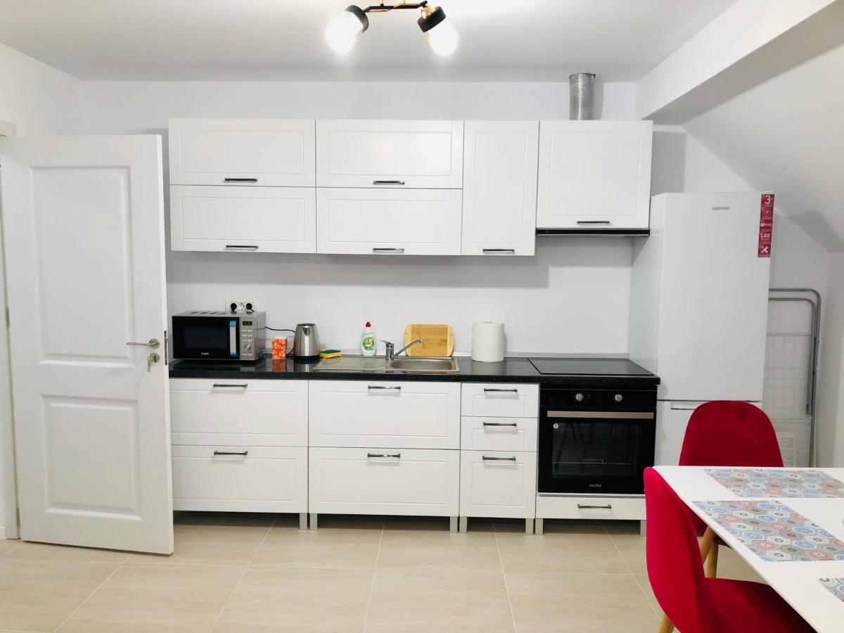 New And Modern Apartments In Villa, Near City Center M36 Timișoara Zewnętrze zdjęcie