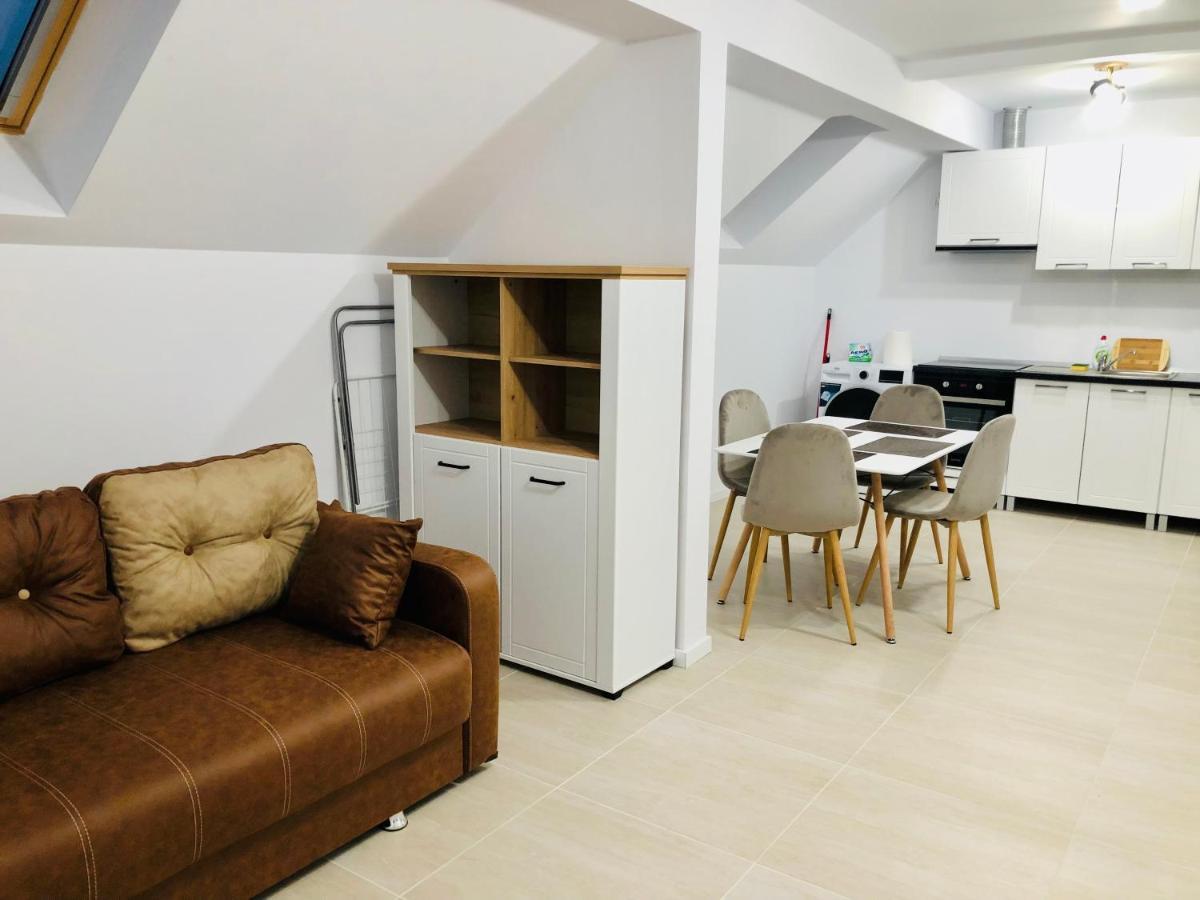 New And Modern Apartments In Villa, Near City Center M36 Timișoara Zewnętrze zdjęcie