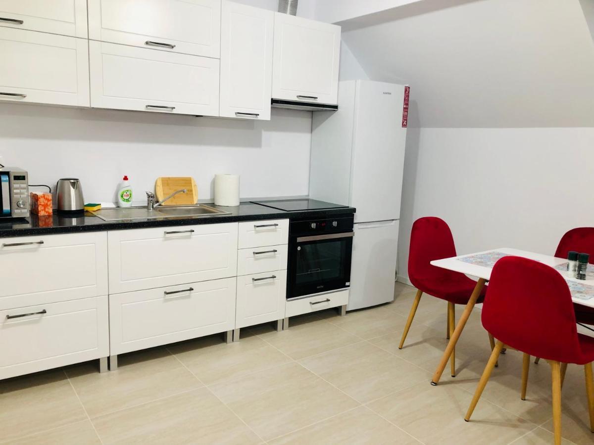 New And Modern Apartments In Villa, Near City Center M36 Timișoara Zewnętrze zdjęcie