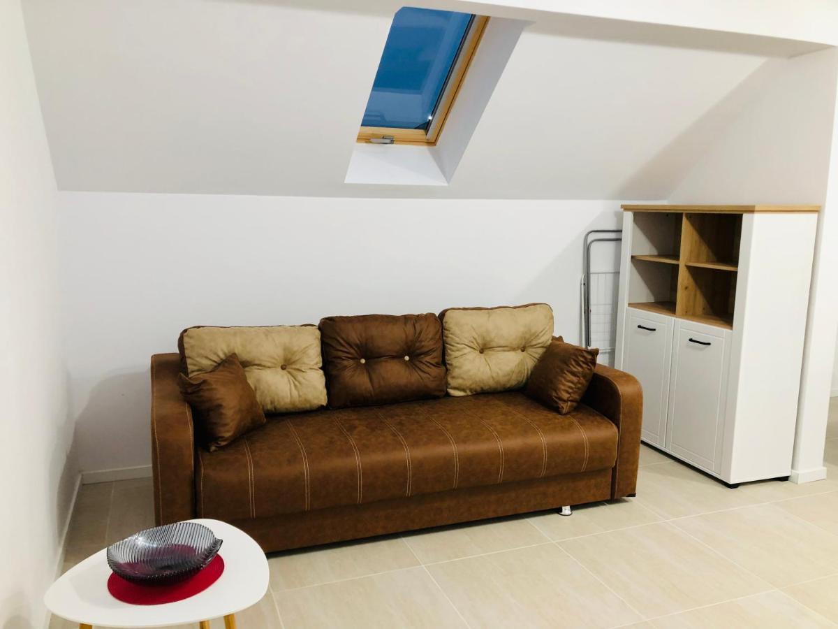 New And Modern Apartments In Villa, Near City Center M36 Timișoara Zewnętrze zdjęcie