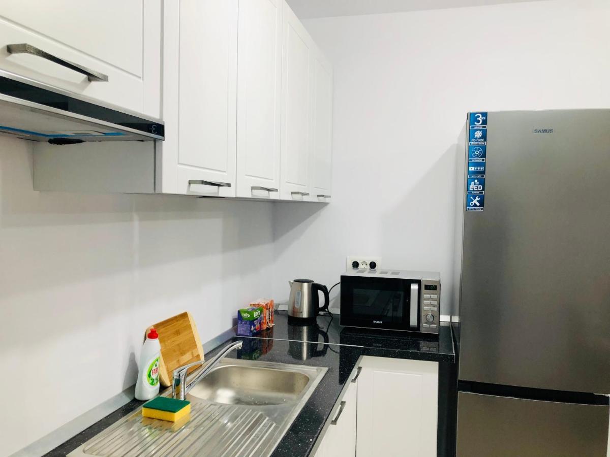 New And Modern Apartments In Villa, Near City Center M36 Timișoara Zewnętrze zdjęcie